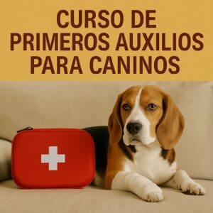 PRIMEROS AUXILIOS PARA CANINOS
