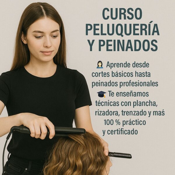 CURSO PELUQUERIA Y PEINADOS