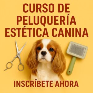 CURSO DE PELUQUERIA ESTETICA CANINA