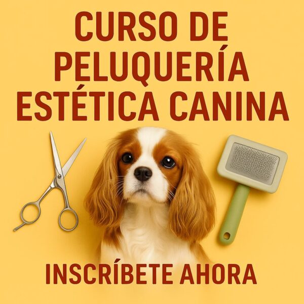 CURSO DE PELUQUERIA ESTETICA CANINA